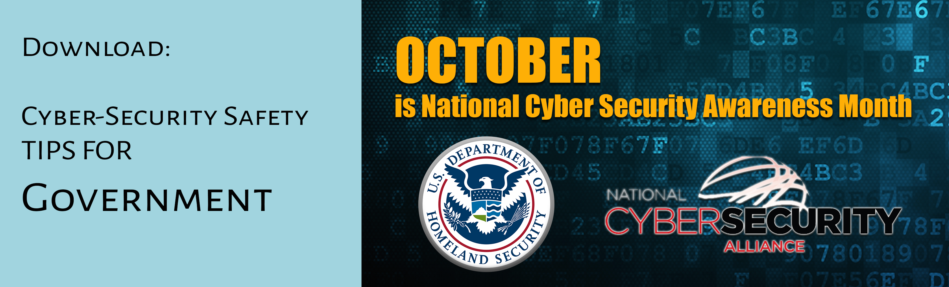 DHS_Tip Card_Government, cyber security