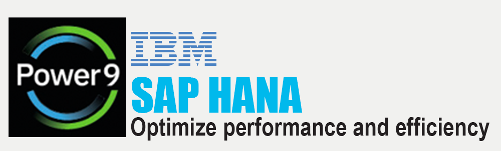 IBM SAP HANA PNG